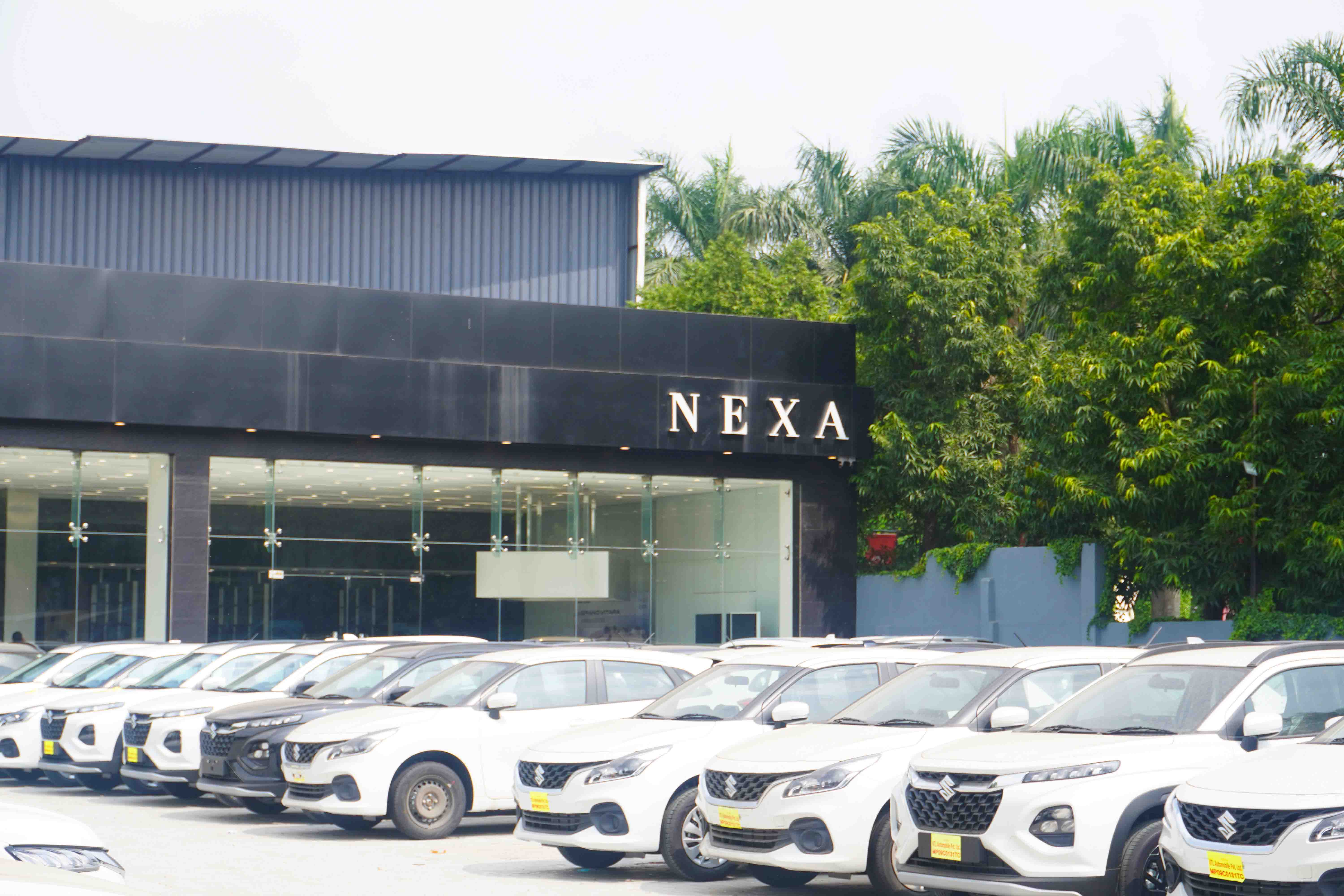 Nexlens Photography Studio & Gallery>
                    <a href=